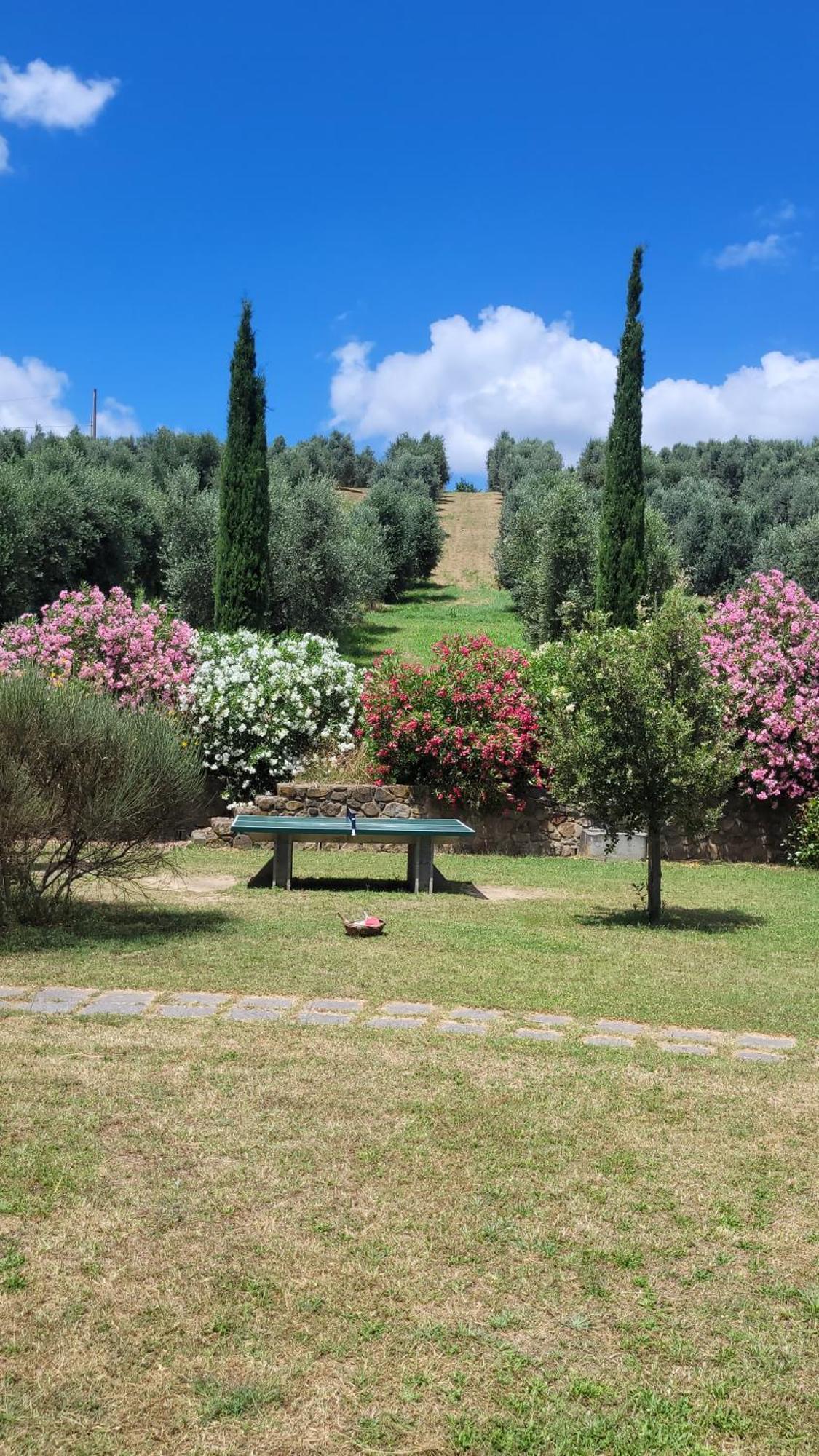 Agriturismo Podere Casalone Limite Zewnętrze zdjęcie